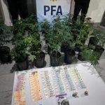 Desarticulan un cultivo indoor de marihuana tras un allanamiento en Caleta Olivia