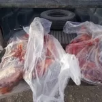 Secuestran más de 190 kilos de carne de fauna protegida y armas en un operativo sobre la Ruta 62