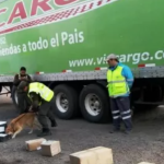 Detuvieron a una mujer que intentó retirar una encomienda con varios kilos de marihuana