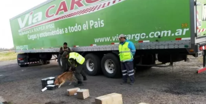 Detuvieron a una mujer que intentó retirar una encomienda con varios kilos de marihuana
