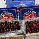 La cereza de Los Antiguos se prepara para su primera exportación con sello propio